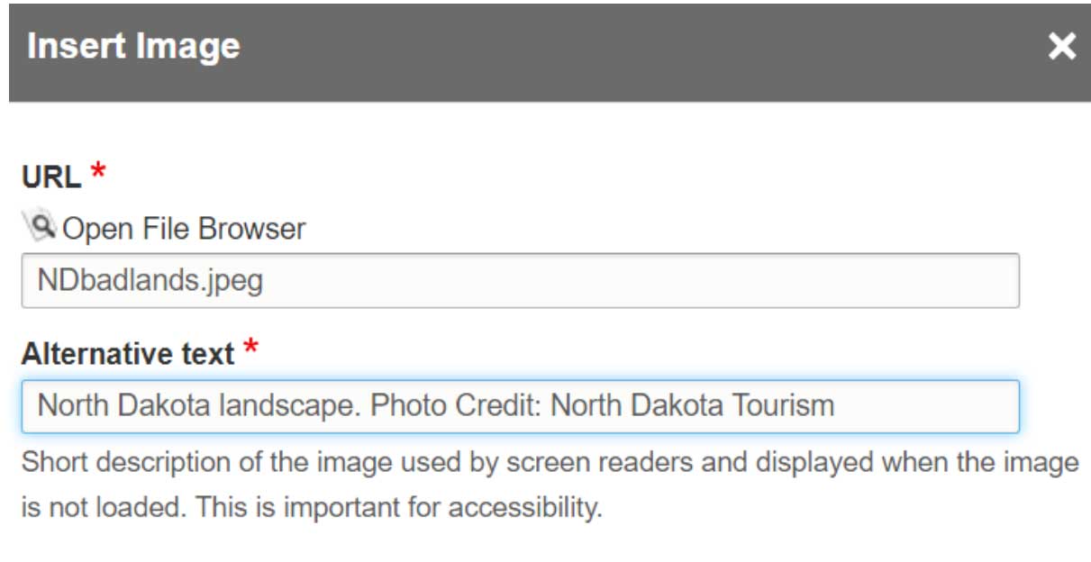 Screen shot of inserting an image in Drupal. Add text to the Alternative Text box.